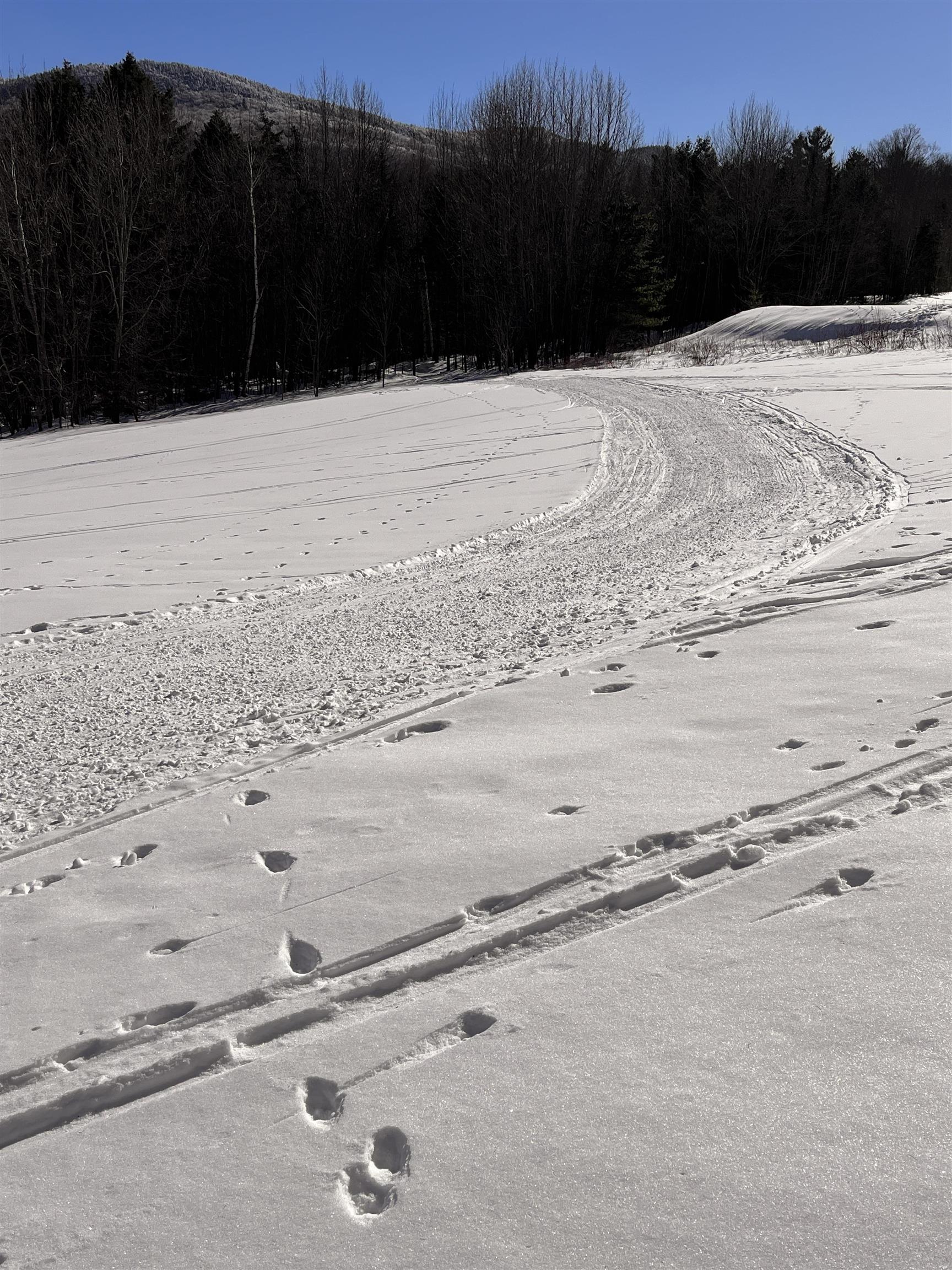 813 Plunkton Road Warren, VT 05674 - Photo 6 of 39