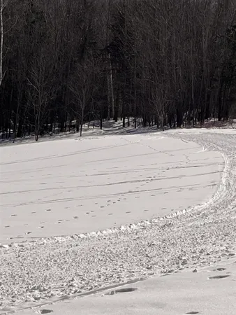 $685,000 | 813 Plunkton Road, Warren, VT 05674