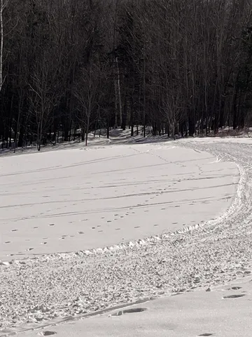 $875,000 | 813 Plunkton Road, Warren, VT 05674