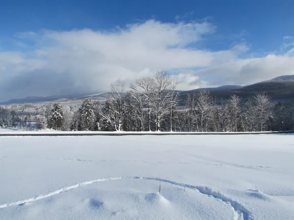 $685,000 | 813 Plunkton Road, Warren, VT 05674