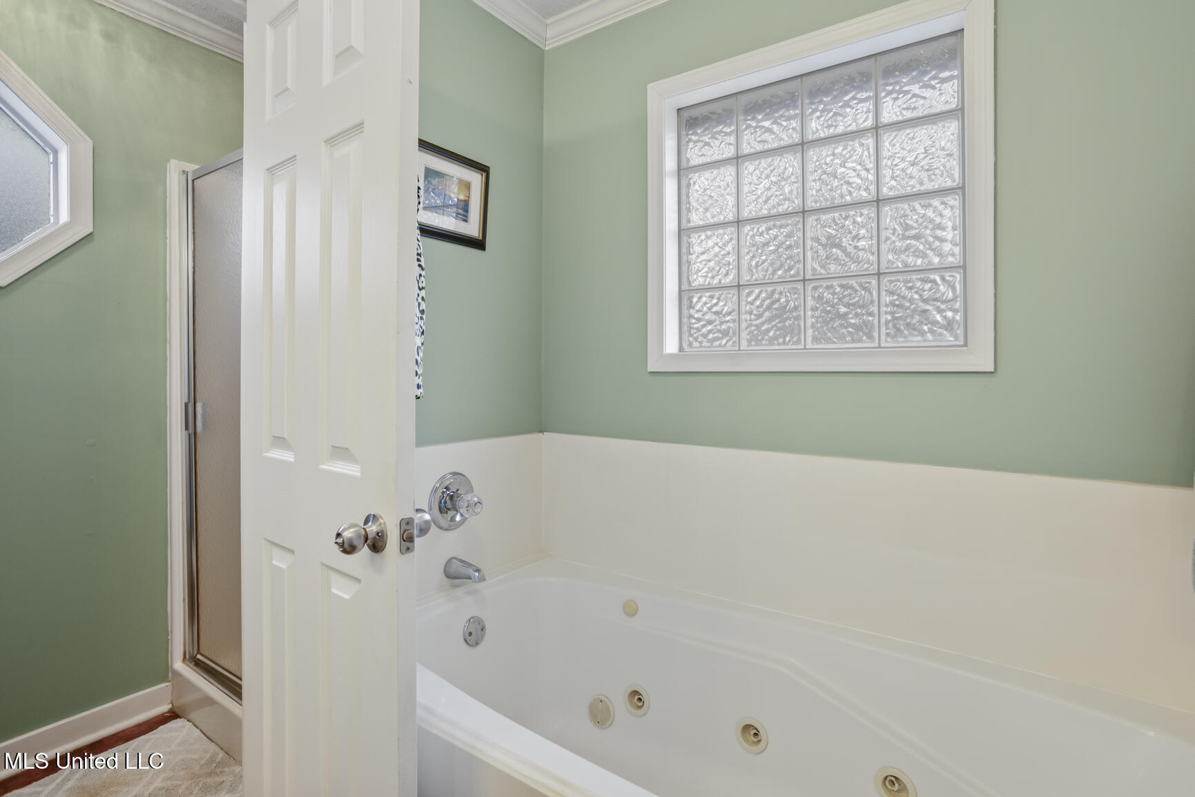 115 West Elbridge Way Canton, MS 39046 - Photo 19 of 25 115 W Elbridge Way-20