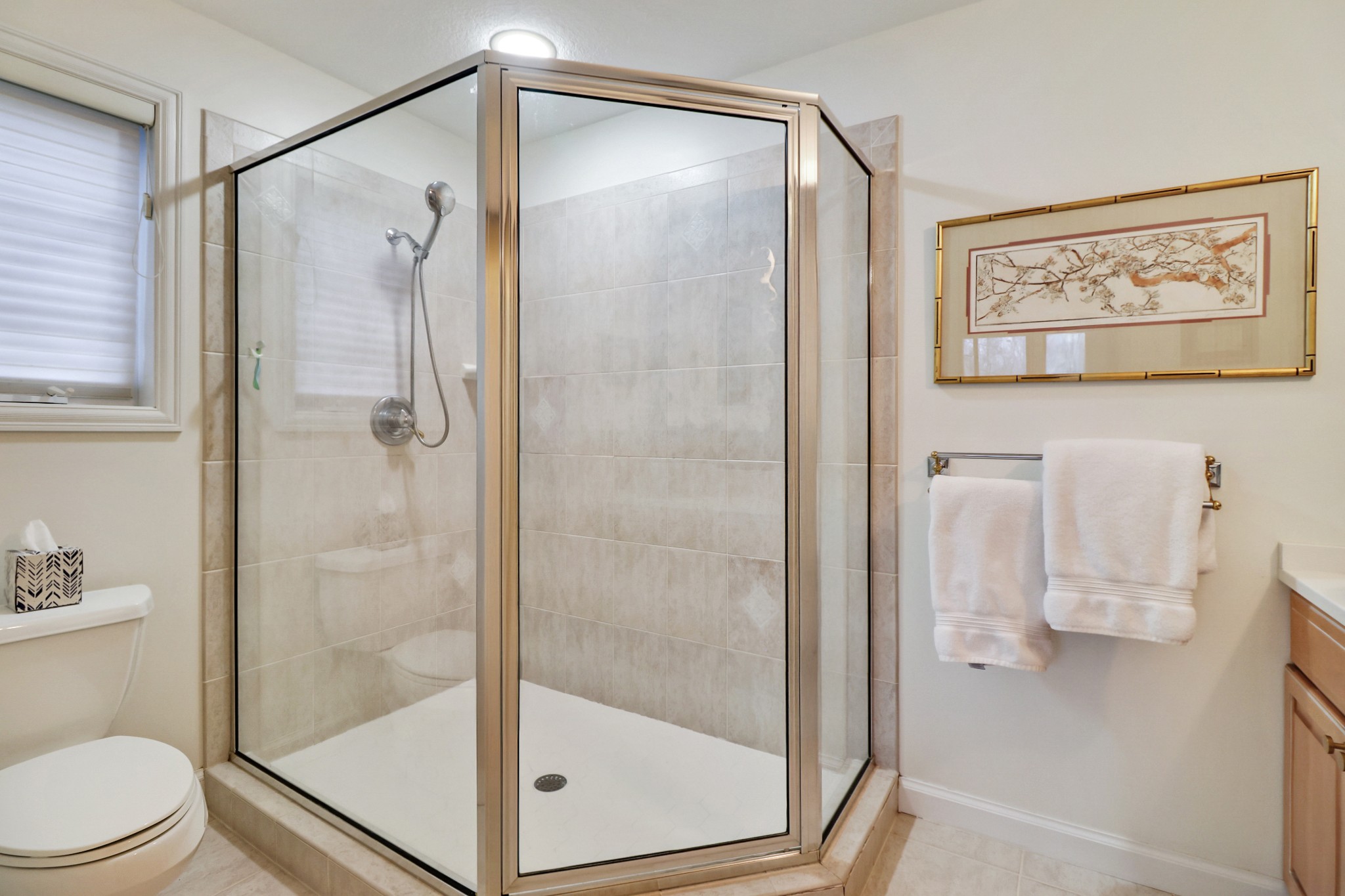 138 Rutgers Circle Crossville, TN 38558 - Photo 19 of 45 a bathroom with a shower and toilet