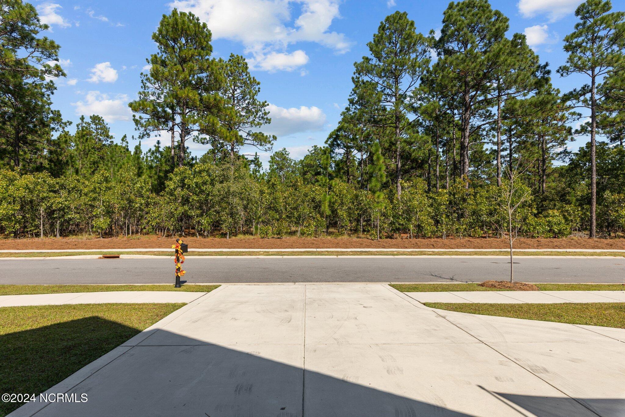 154 Fontana Lake Road Aberdeen, NC 28315 - Photo 35 of 50 37-web-or-mls-707A2844