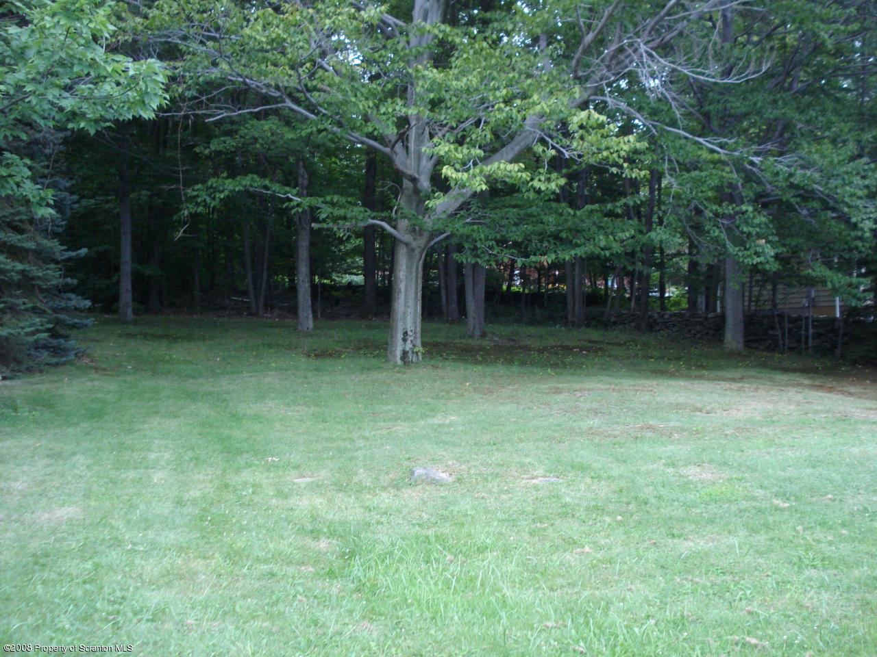 0 George Drive Lake Ariel, PA 18436 - Photo 3 of 3 lot picture