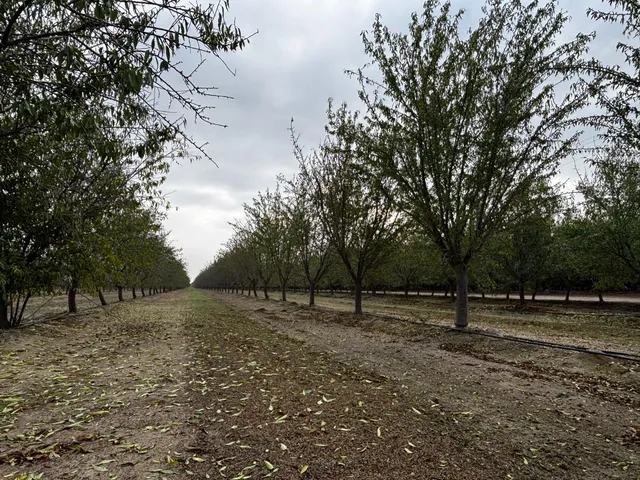 a view of outdoor space with trees