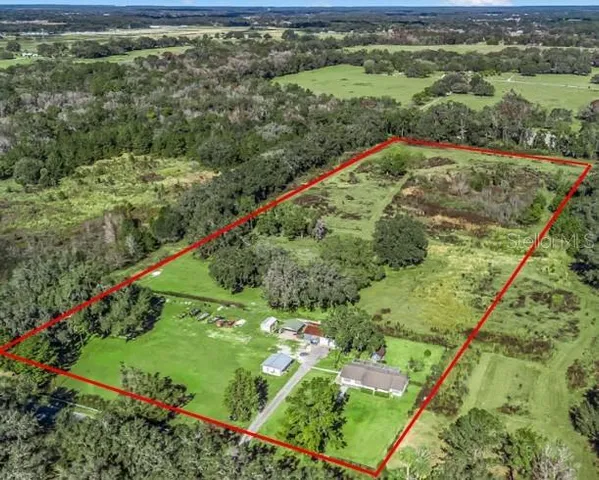 a view of a lush green forest with a lake