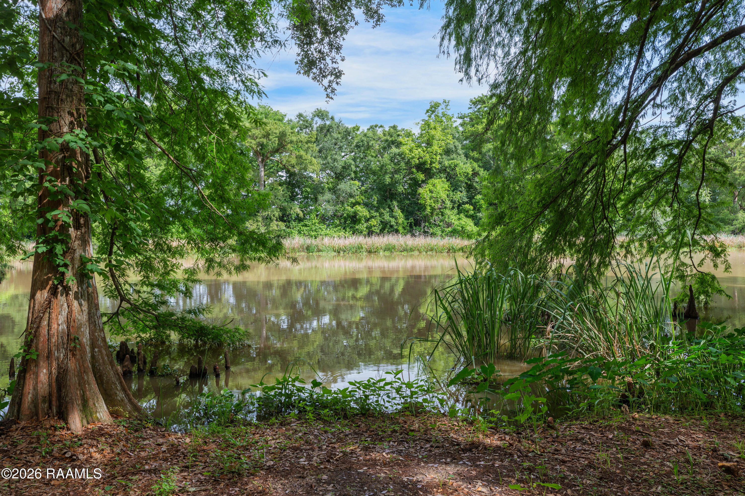 4422 Irish Bend Road Franklin, LA 70538 - Photo 3 of 30