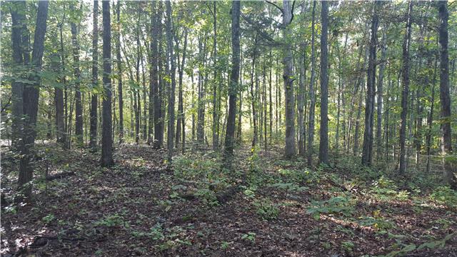 0 Puckett Road Murfreesboro, TN 37128 - Photo 1 of 3 Gallery Image 1