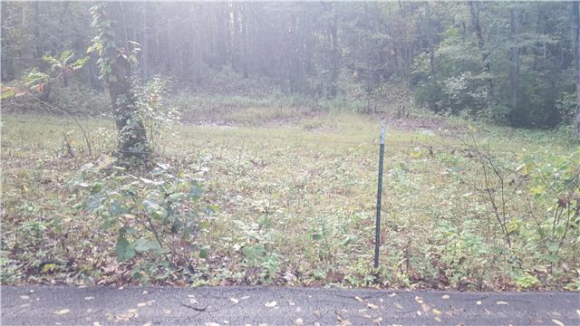 0 Puckett Road Murfreesboro, TN 37128 - Photo 2 of 3 Gallery Image 2