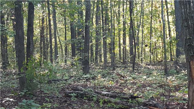 0 Puckett Road Murfreesboro, TN 37128 - Photo 3 of 3 Gallery Image 3