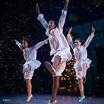 2035 Trident Maple Lane Chapel Hill, NC 27517 - Photo 31 of 37 9. Carolina Performing Arts Center