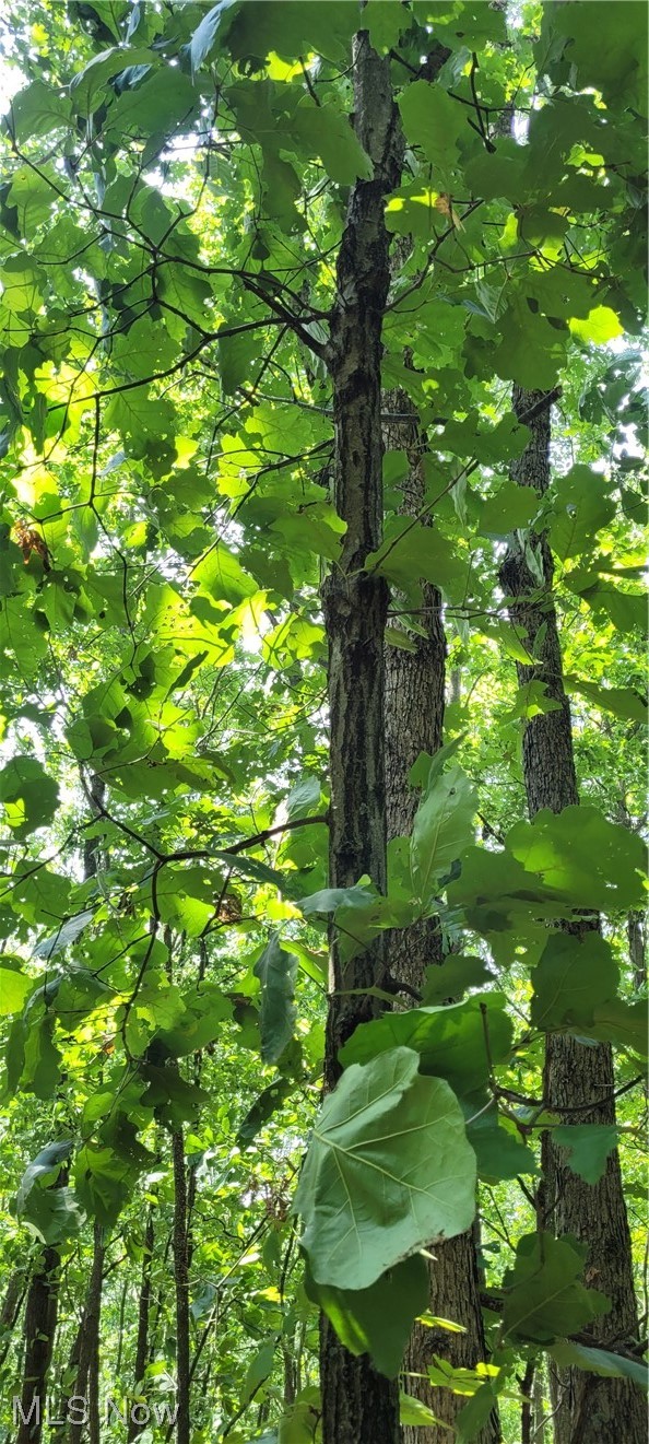 Southeast Edwards Ridge Road Southeast Uhrichsville, OH 44683 - Photo 24 of 34 Gallery Image 24