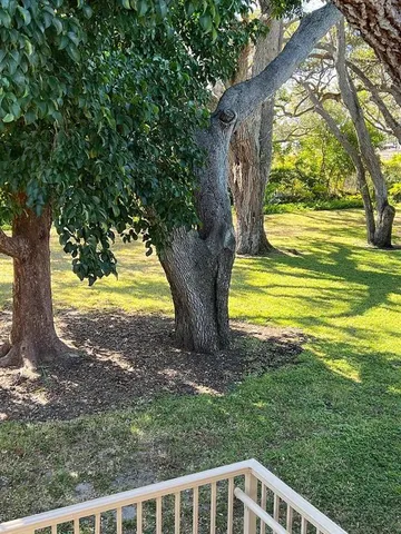 a view of a yard with swimming pool