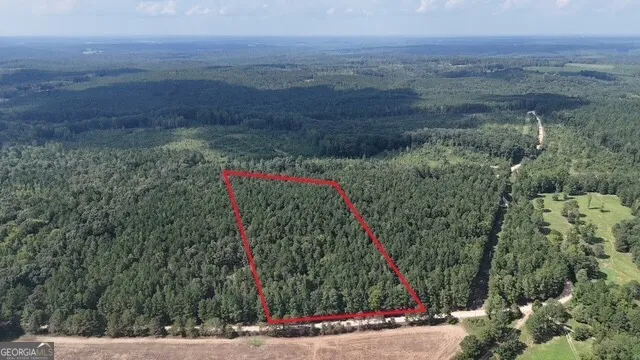 a view of a garden with flowers