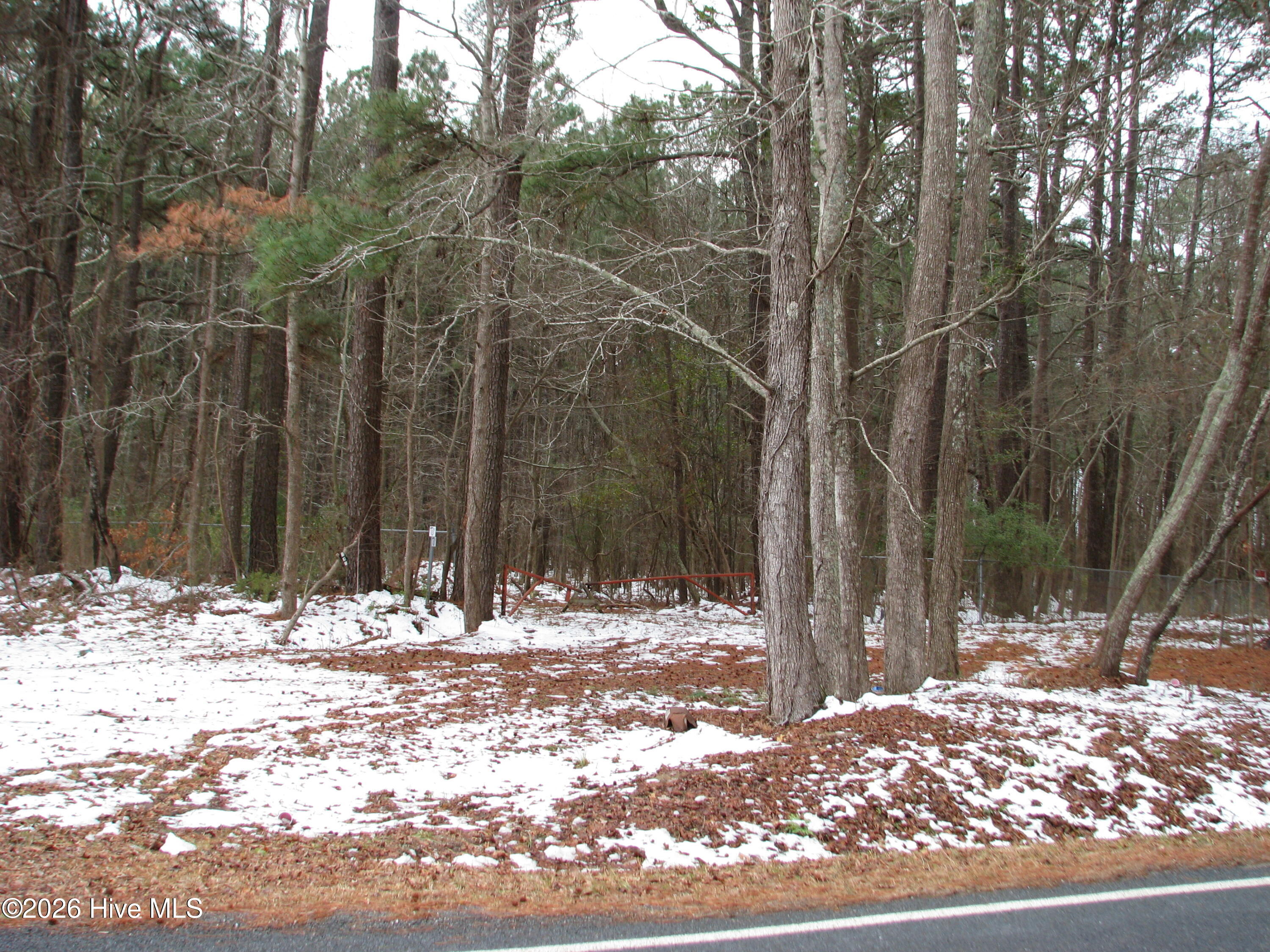 1381 Folly Road Plymouth, NC 27962 - Photo 1 of 7 View from Folly Road