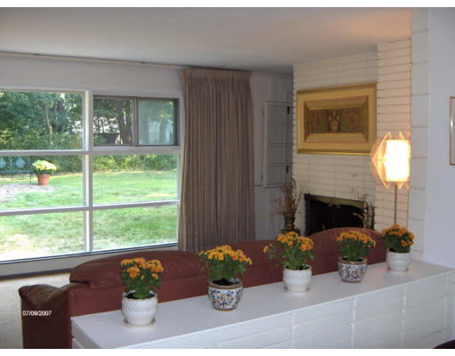 21 Irving Road Natick, MA 01760 - Photo 2 of 13 a living room with furniture and a potted plant