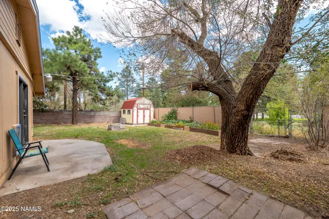 a view of a yard with plants and a trees