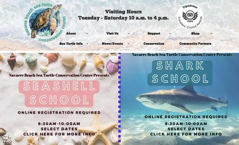 a picture of a book and a white photo of a book