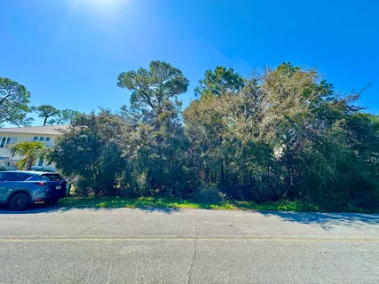 a view of a tree in a garden