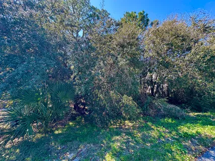 a view of a house with a backyard and a forest