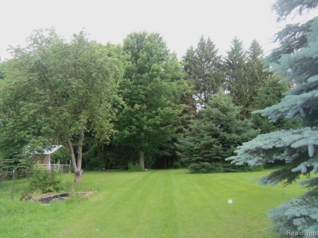 5674 Hasslick Road North Branch, MI 48461 - Photo 20 of 21 Back_of_property.jpg