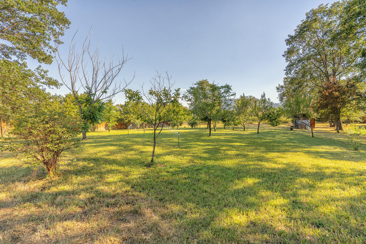 88 Neil Creek Road Ashland, OR 97520 - Photo 8 of 20 untitled (12 of 27)-Edit