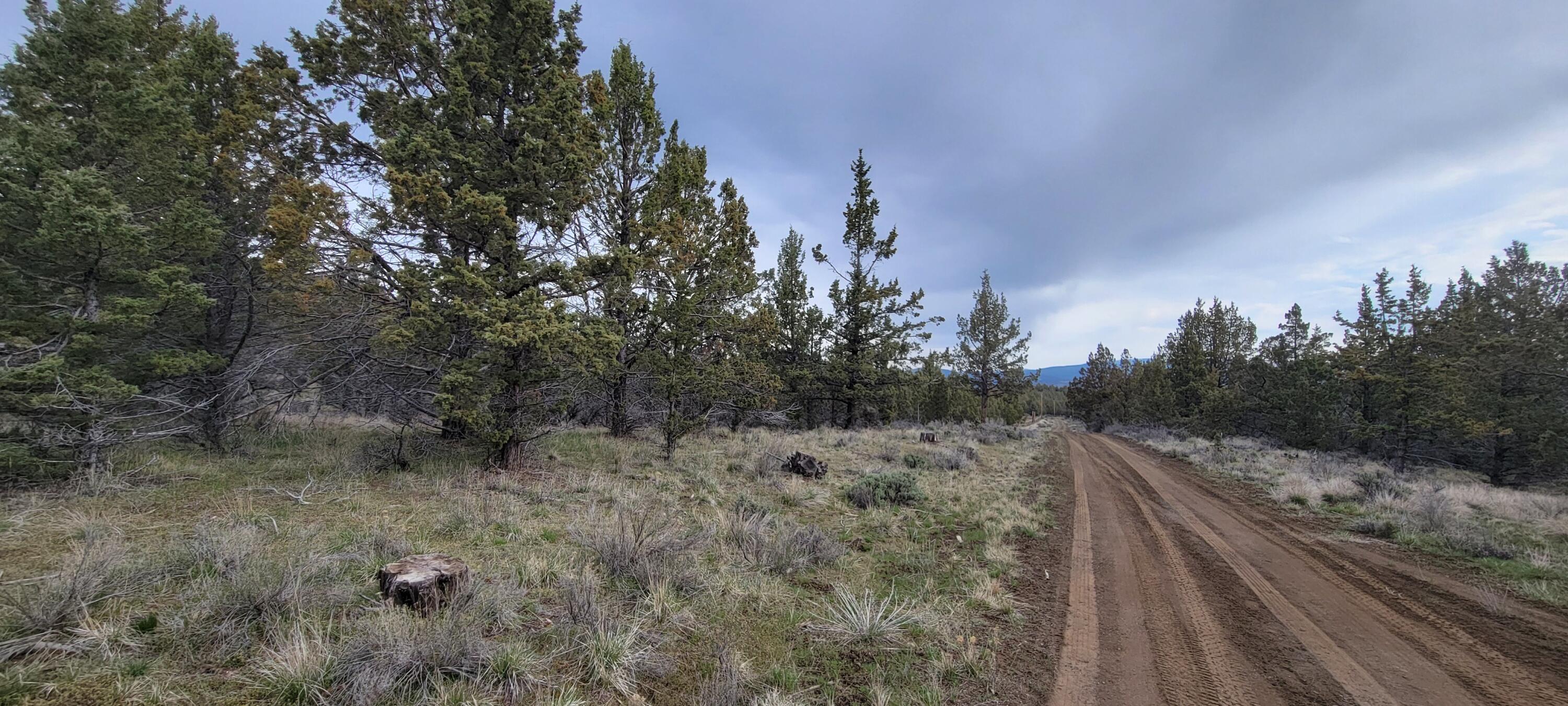 1500 Southeast Osprey Road, Unit 62 Prineville, OR 97754 - Photo 18 of 26 Road 05