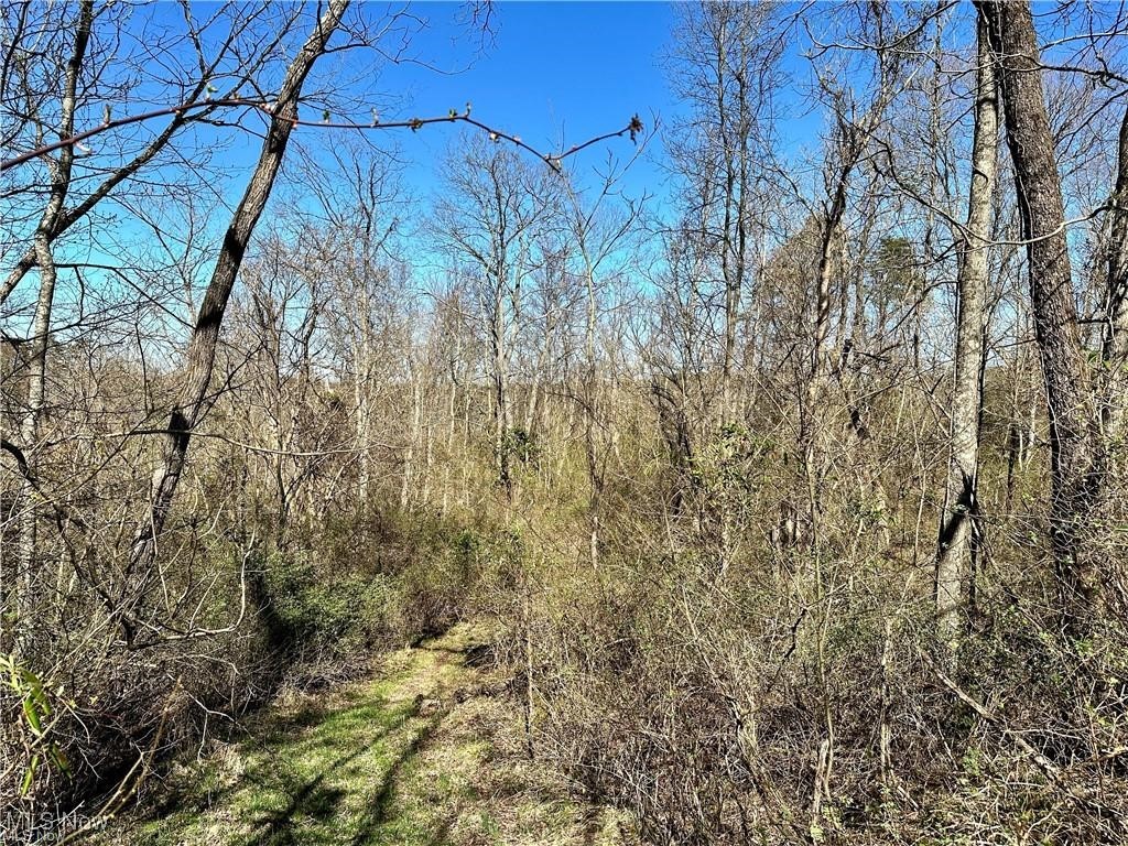 0 Fisher Ridge Road Fleming, OH 45729 - Photo 6 of 8 View of woods
