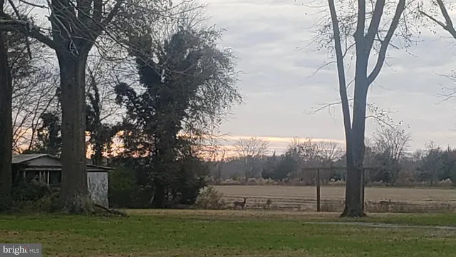 $564,900 | 0 Lighthouse Road, Selbyville, DE 19975