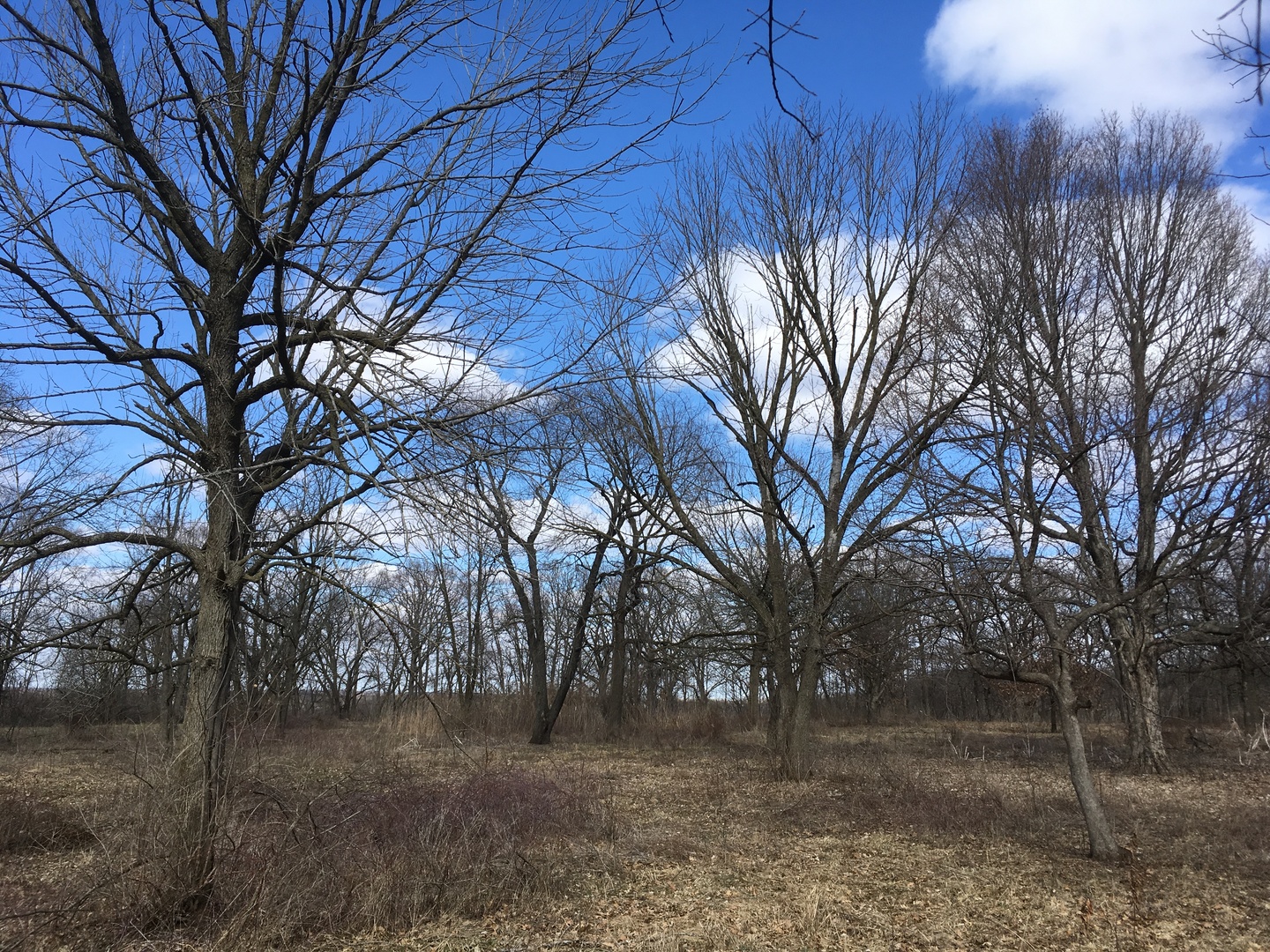 2970 Dupont Road Seneca, IL 61360 - Photo 6 of 9