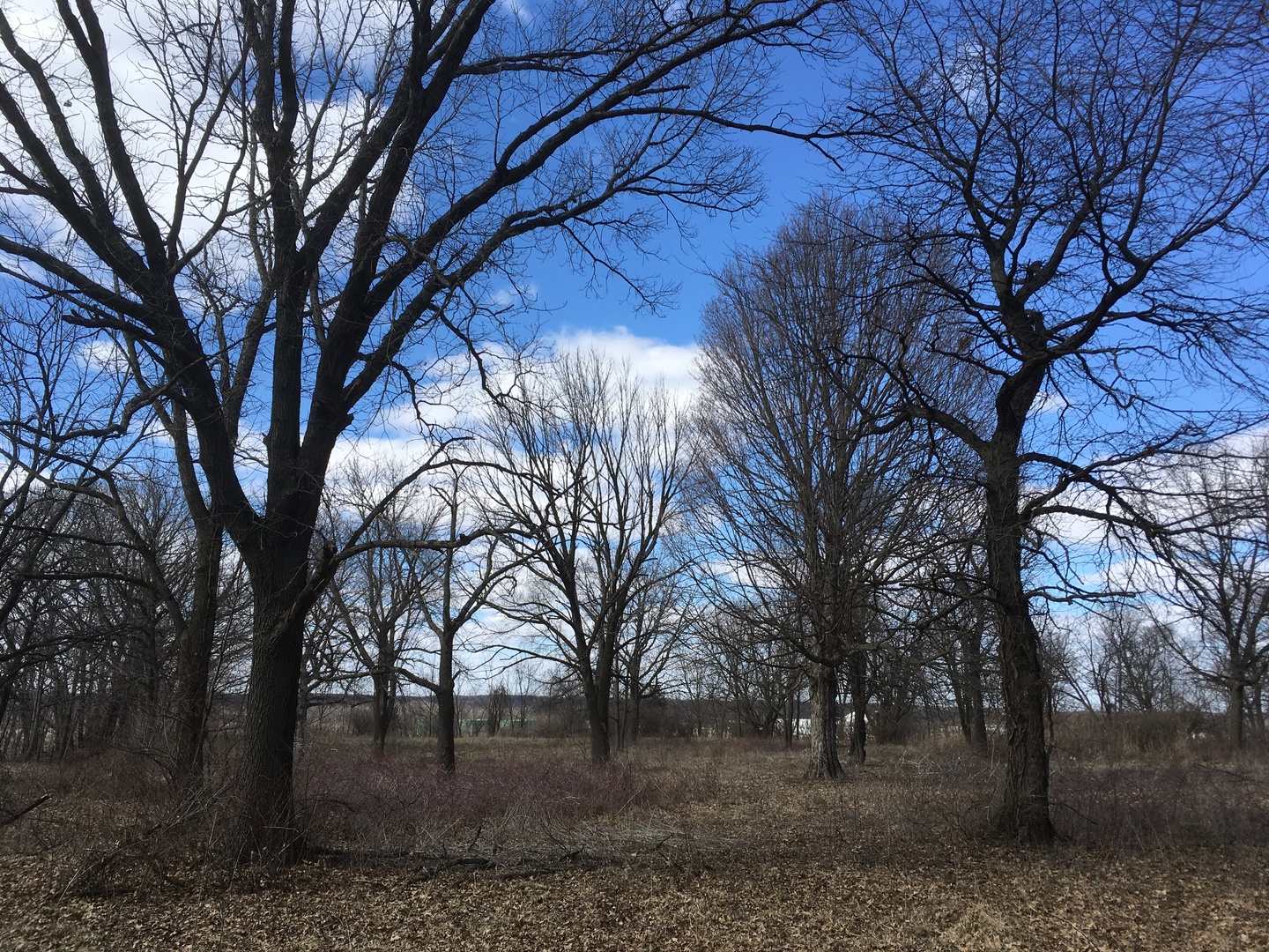 2970 Dupont Road Seneca, IL 61360 - Photo 7 of 9