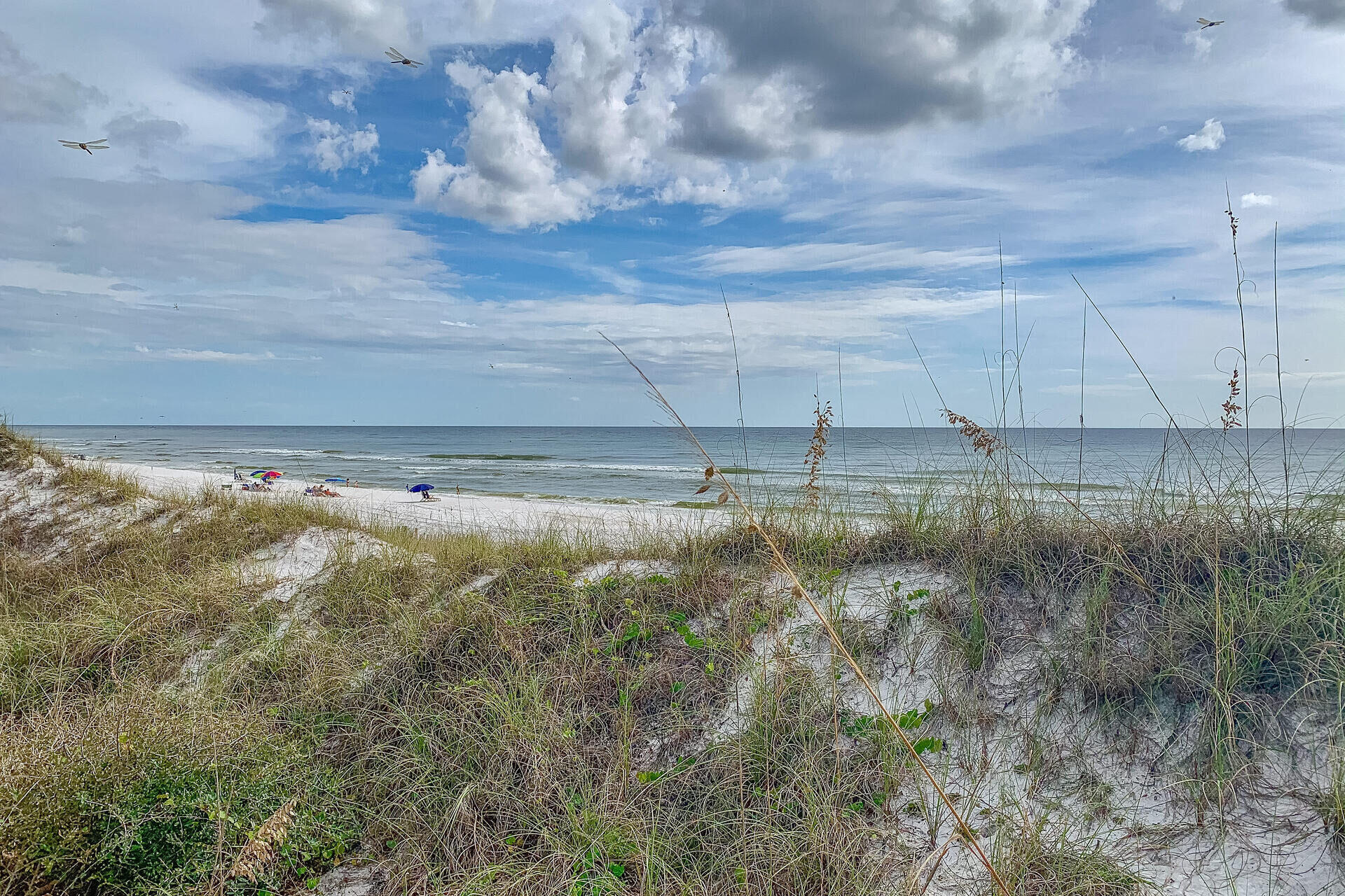 56 Abbey Road Santa Rosa Beach, FL 32459 - Photo 38 of 40 a view of a water pond with lots of bushes