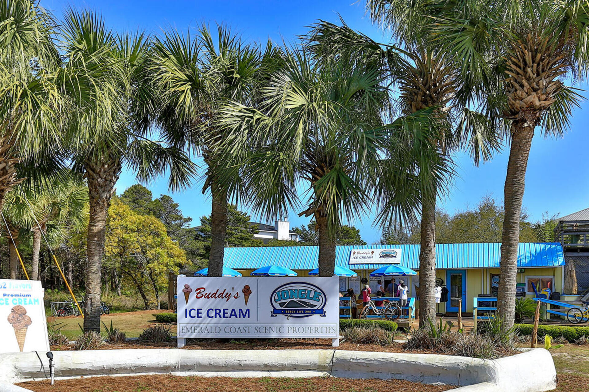 56 Abbey Road Santa Rosa Beach, FL 32459 - Photo 39 of 40 a view of outdoor space with trees