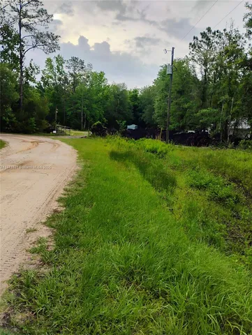 $13,999 | 228 Atkins Road, Georgetown, FL 32139