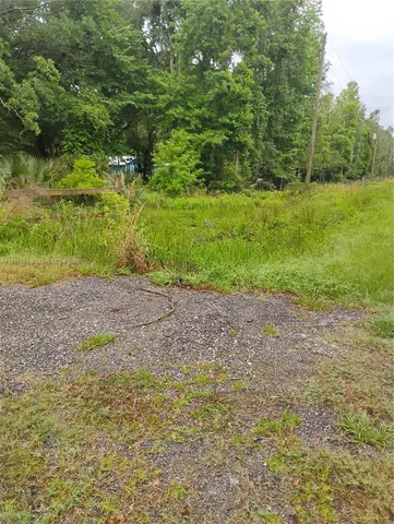 $13,999 | 228 Atkins Road, Georgetown, FL 32139