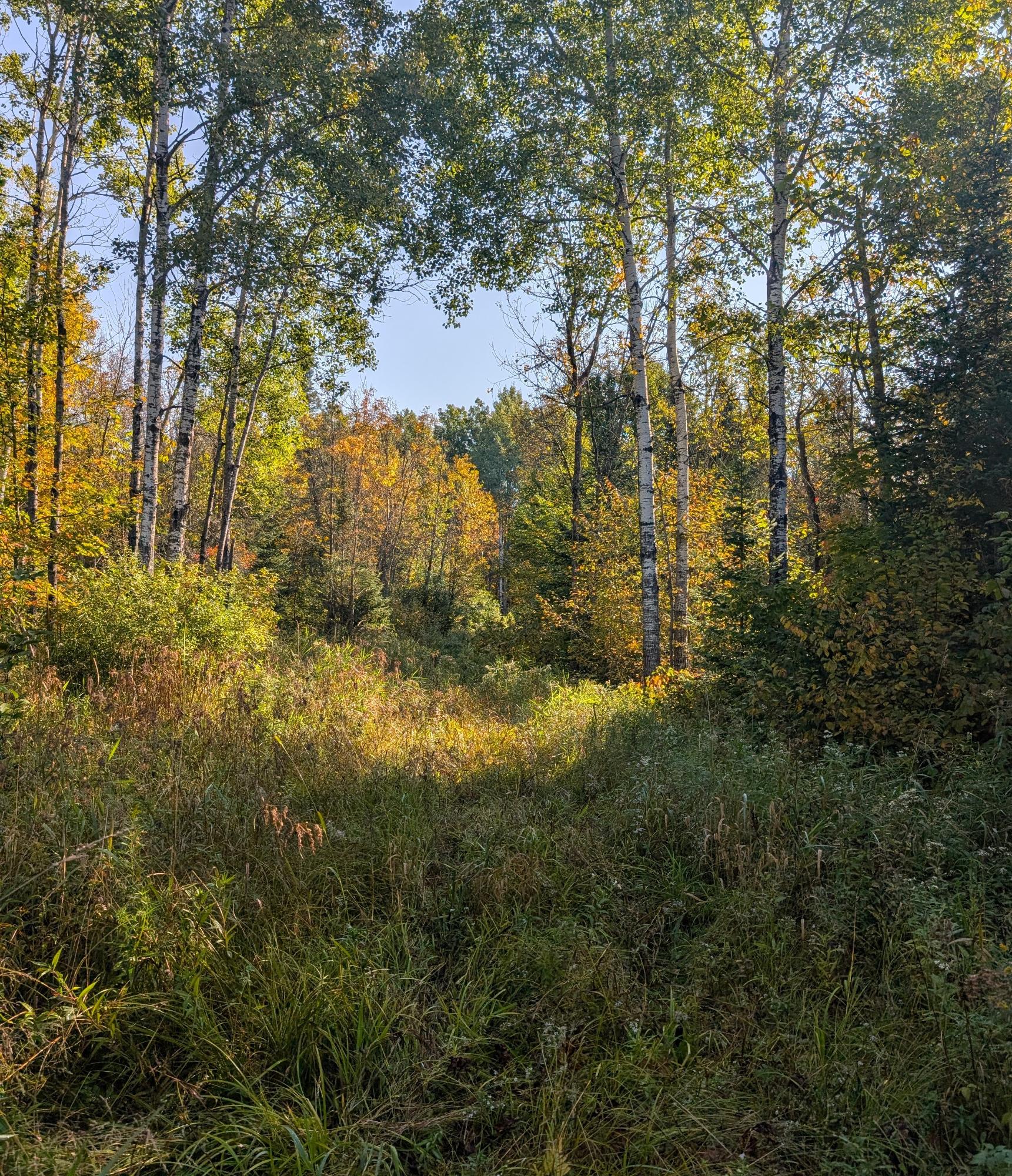 N2060 Meridian Road Ogema, WI 54459 - Photo 19 of 39 Gallery Image 19
