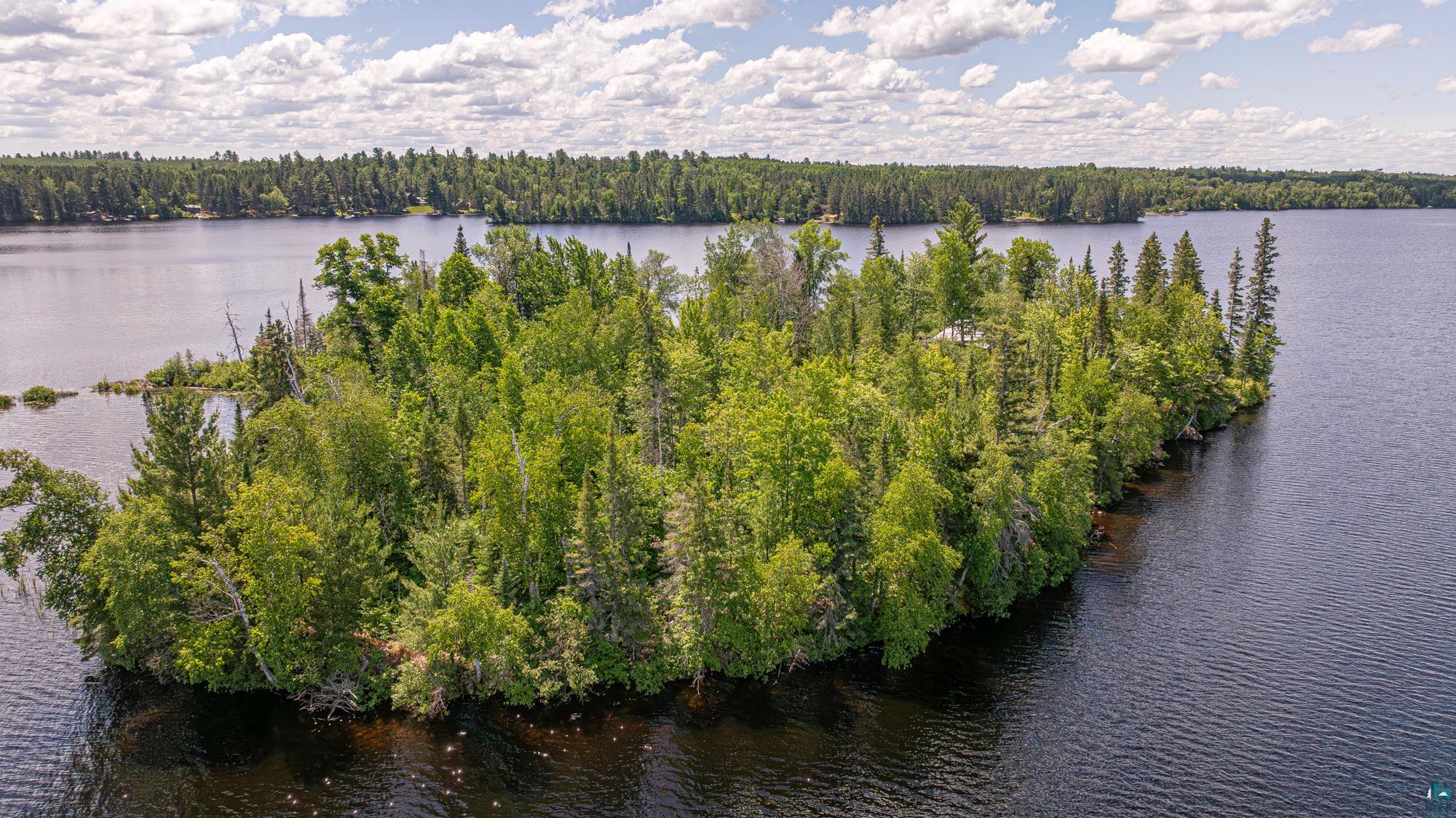 13321 Lodge Road Ely, MN 55731 - Photo 7 of 94