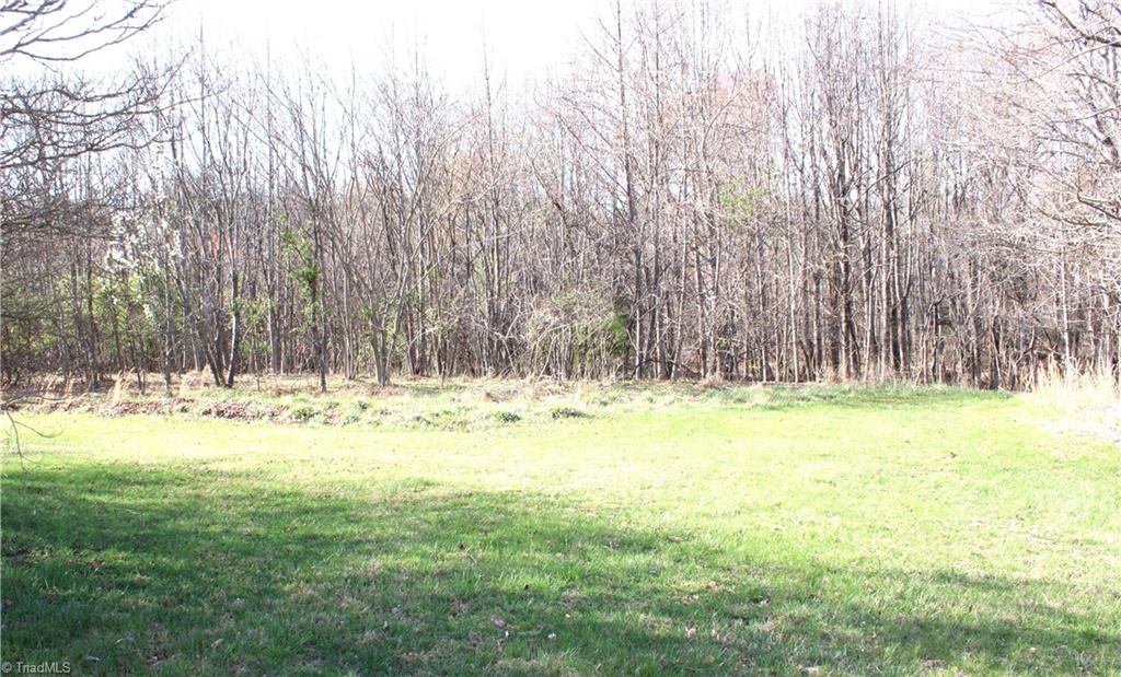 1065 Dallas King Road Westfield, NC 27053 - Photo 29 of 46