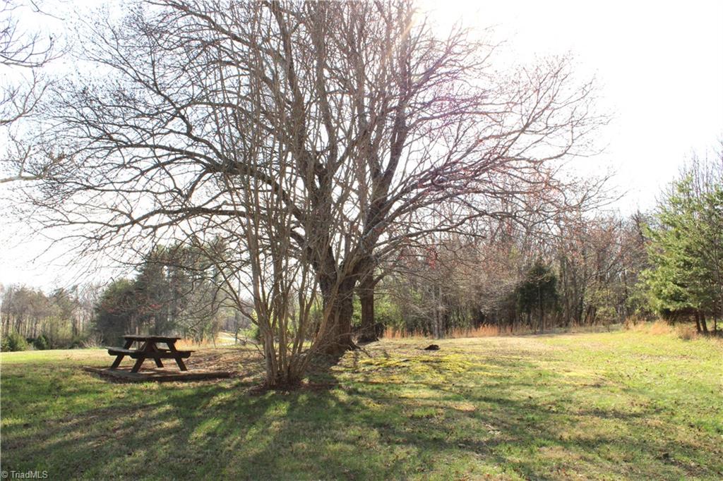 1065 Dallas King Road Westfield, NC 27053 - Photo 43 of 46