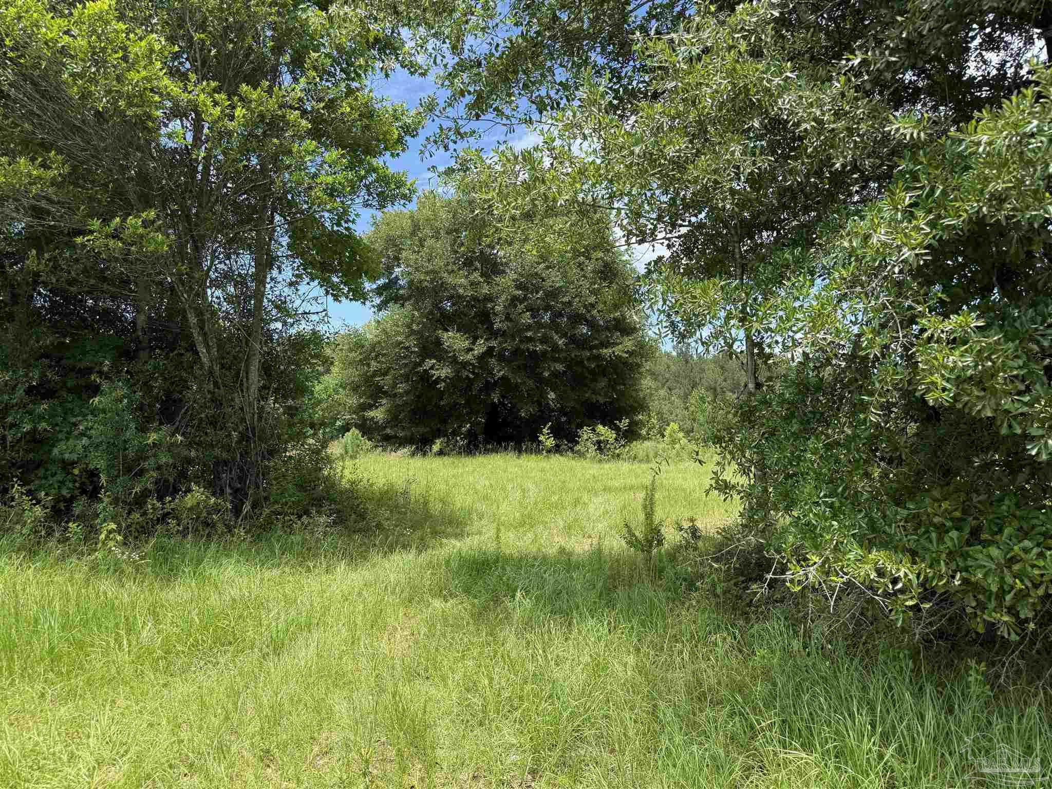 296 Salters Lake Road Century, FL 32535 - Photo 15 of 34