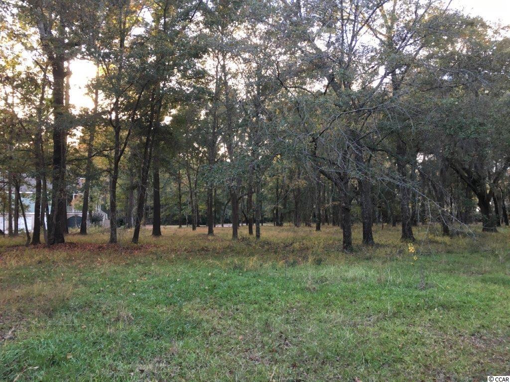 11 Shackleford Pk Loop Georgetown, SC 29440 - Photo 1 of 2 Gallery Image 1