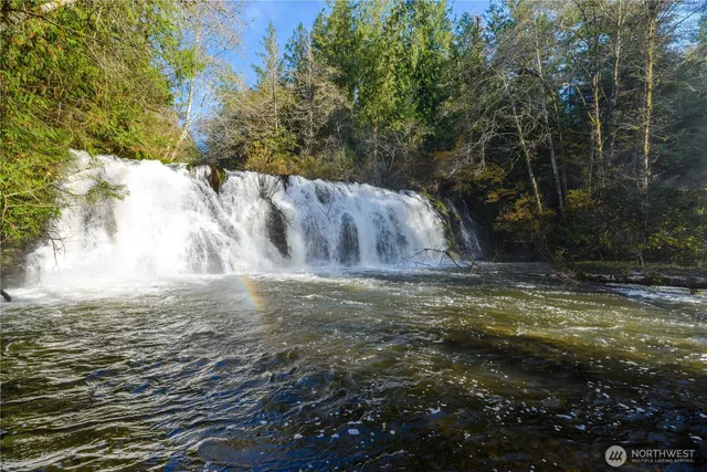 a view of a back yard