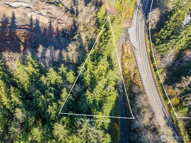 a view of a field with trees in background