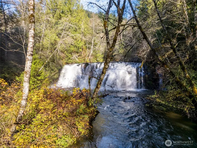 a backyard of a house with large trees and plants