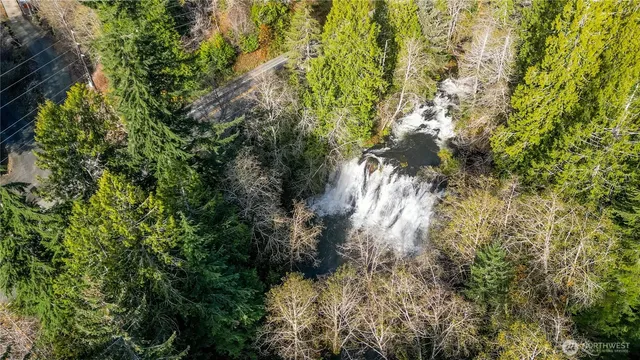 a view of yard with small fountain