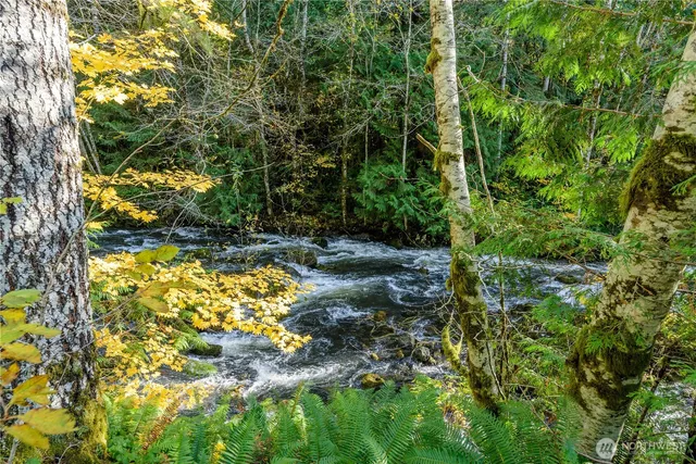 a backyard of a house with lots of trees