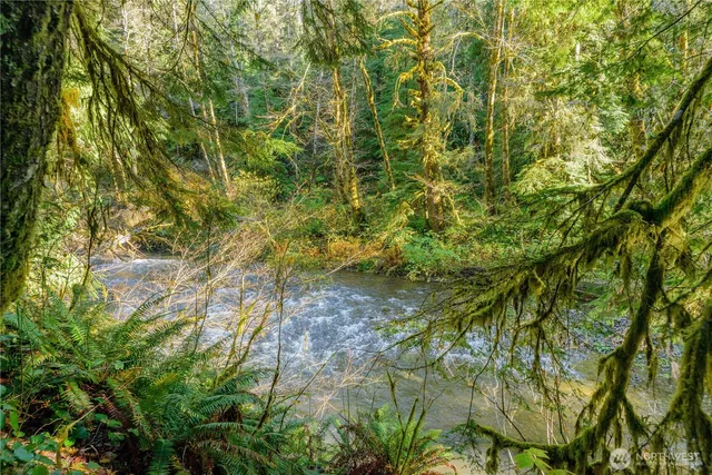 a view of a yard with wooden floor