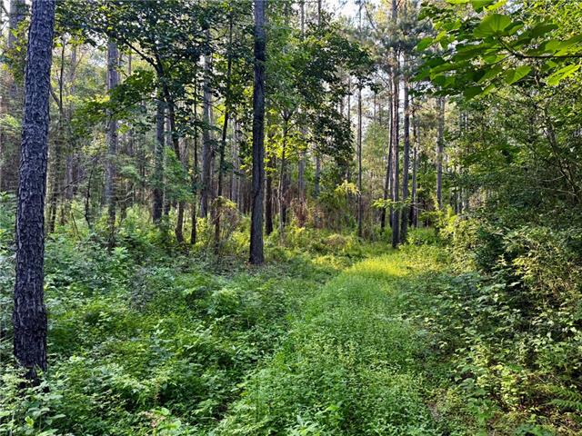3 Ward Line Road Bogalusa, LA 70427 - Photo 1 of 12