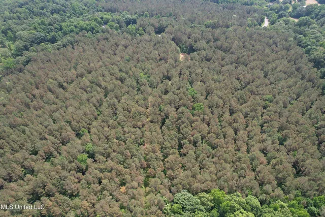 $102,380 | 227 County Road, Coffeeville, MS 38922