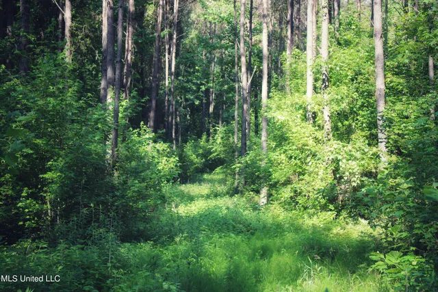 $102,380 | 227 County Road, Coffeeville, MS 38922